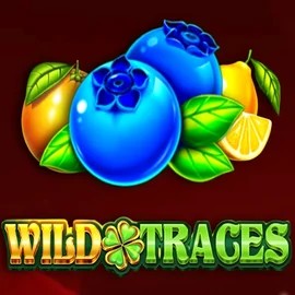 Play the Wild Traces slot by Amusnet Interactive on Mr Vegas Casino