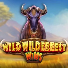 Play the Wild Wildebeest Wins slot by Pragmatic Play on Mr Vegas Casino